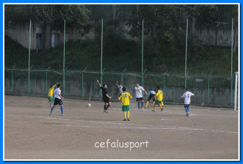 130406 delfini 125_tn.jpg